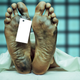 Illustration for article titled Norway Is Overrun With Plastic-Covered Corpses That Refuse to Rot